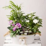 Floral Oasis Planter