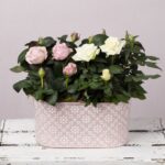 Mother's Day Pink Planter